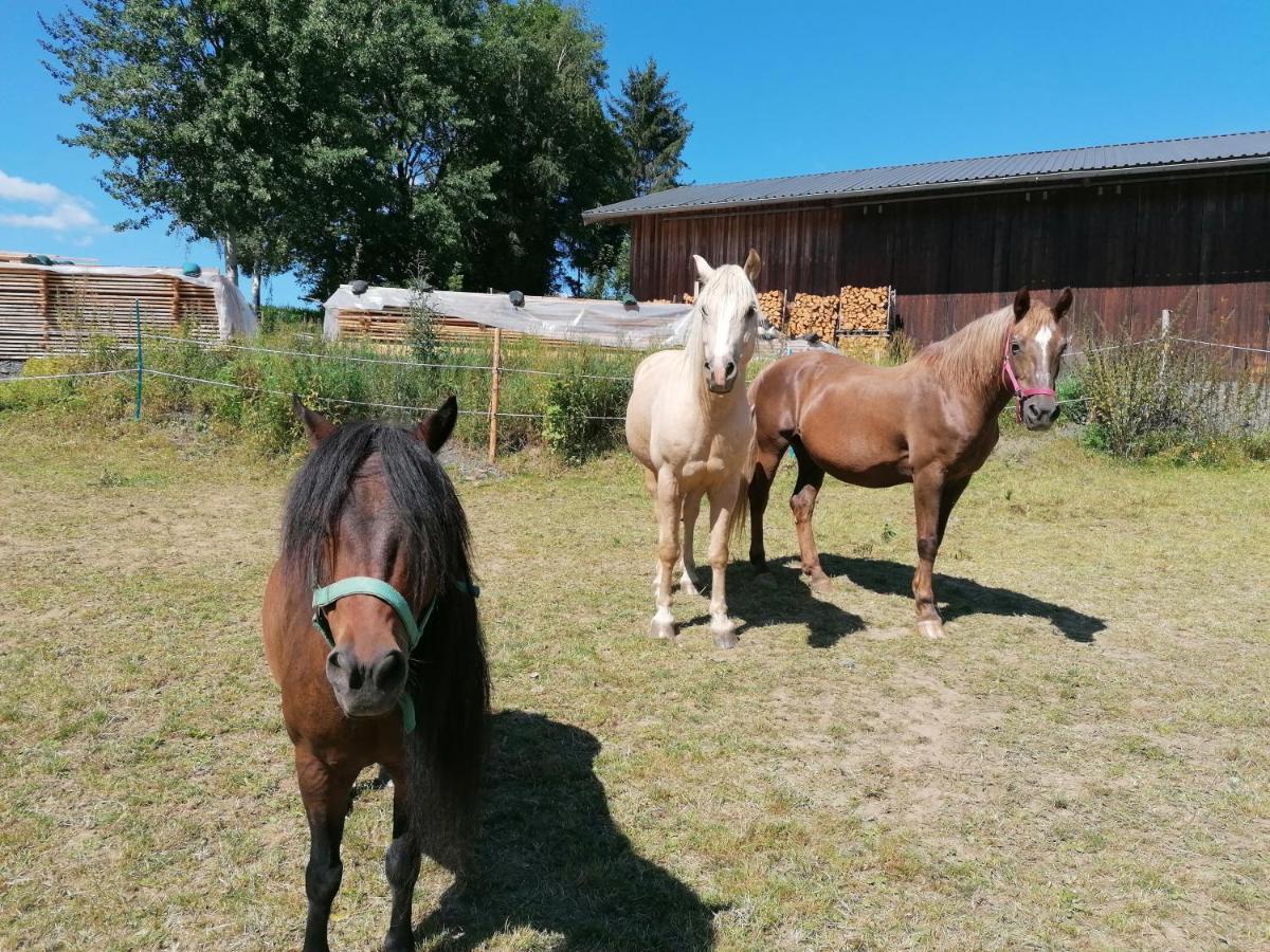 Ferienwohnung Egelkraut Schwarzenbach an der Saale Buitenkant foto